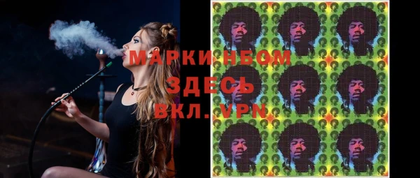 сатива Армянск